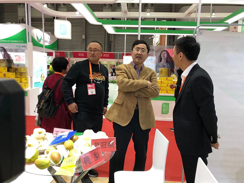 辛集市市委常委統戰部部長張向，農業農村局副局長呂潤航等領導帶團參加了在上海舉辦的亞洲果蔬博覽會